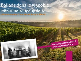 Ballade dans le vignoble
mâconnais-beaujolais
(distance entre Couches et Buxy = 50km)
 