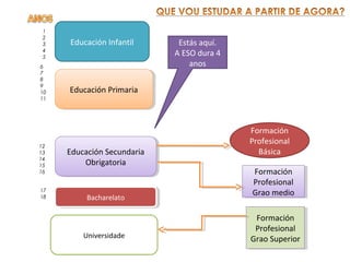 Educación Infantil
1
2
3
4
5
Educación PrimariaEducación Primaria
6
7
8
9
10
11
Educación Secundaria
Obrigatoria
Educación Secundaria
Obrigatoria
12
13
14
15
16
BacharelatoBacharelato
17
18
Estás aquí.
A ESO dura 4
anos
Formación
Profesional
Básica
Formación
Profesional
Grao medio
Formación
Profesional
Grao medio
Formación
Profesional
Grao Superior
Formación
Profesional
Grao SuperiorUniversidade
 