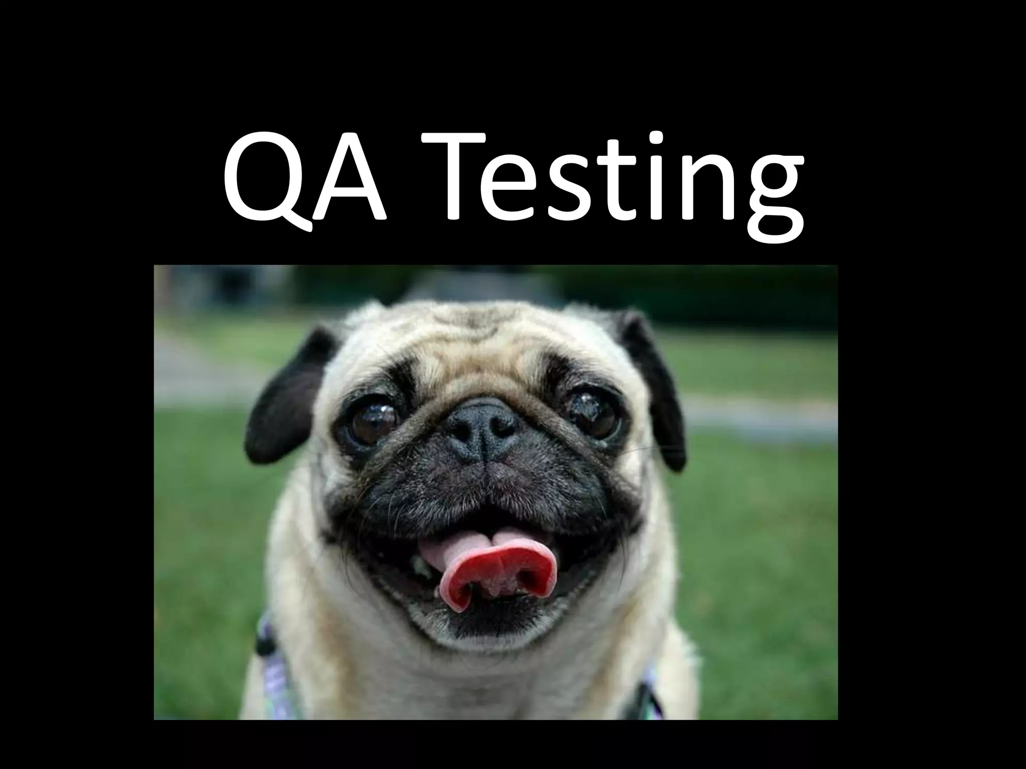 QA Testing