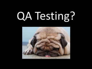 QA Testing?<br />