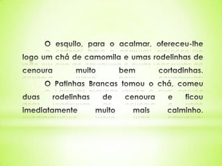 O patinhas brancas 2º a pev