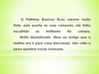 O patinhas brancas 2º a pev