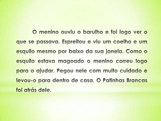 O patinhas brancas 2º a pev