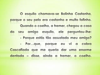 O patinhas brancas 2º a pev