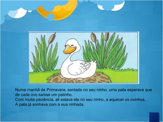 Numa manhã de Primavera, sentada no seu ninho, uma pata esperava que de cada ovo saísse um patinho. Com muita paciência, ali estava ela no seu ninho, a aquecer os ovinhos. A pata já sonhava com a sua ninhada.