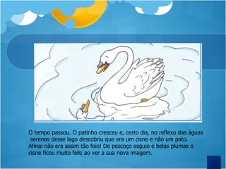 O tempo passou. O patinho cresceu e, certo dia, no reflexo das águas serenas desse lago descobriu que era um cisne e não um pato. Afinal não era assim tão feio! De pescoço esguio e belas plumas o cisne ficou muito feliz ao ver a sua nova imagem.