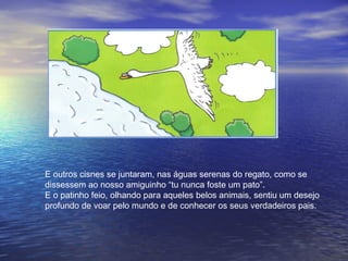 E outros cisnes se juntaram, nas águas serenas do regato, como se
dissessem ao nosso amiguinho “tu nunca foste um pato”.
E o patinho feio, olhando para aqueles belos animais, sentiu um desejo
profundo de voar pelo mundo e de conhecer os seus verdadeiros pais.
 