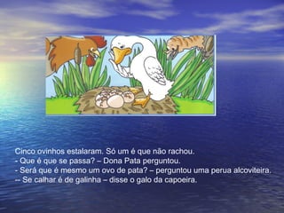 Cinco ovinhos estalaram. Só um é que não rachou.
- Que é que se passa? – Dona Pata perguntou.
- Será que é mesmo um ovo de pata? – perguntou uma perua alcoviteira.
-- Se calhar é de galinha – disse o galo da capoeira.
 