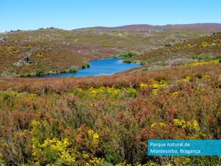 Parque natural de
Montesinho, Bragança
 