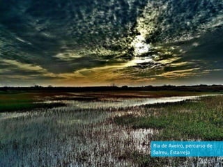 Ria de Aveiro, percurso de
Salreu, Estarreja
 