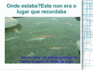 Onde estaba?Este non era o lugar que recordaba Era increible! Os peixes nadaban na herba no canto de nadar na auga 