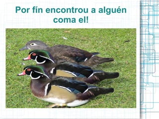 Por fín encontrou a alguén coma el! 