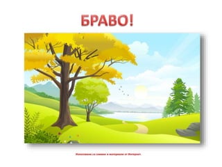 Използвани са снимки и материали от Интернет.
 