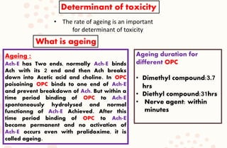 4/6/2022
Determinant of toxicity
• The rate of ageing is an important
for determinant of toxicity
What is ageing
Ageing duration for
different OPC
• Dimethyl compound:3.7
hrs
• Diethyl compound:31hrs
• Nerve agent: within
minutes
Ageing :
Ach-E has Two ends, normally Ach-E binds
Ach with its 2 end and then Ach breaks
down into Acetic acid and choline. In OPC
poisoining OPC binds to one end of Ach-E
and prevent breakdown of Ach. But within a
time period binding of OPC to Ach-E
spontaneously hydrolysed and normal
functionng of Ach-E Achieved. After this
time period binding of OPC to Ach-E
become permanent and no activation of
Ach-E occurs even with pralidoxime, it is
called ageing.
 