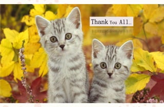 Thank You All…
 