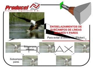 ENTRELAZAMIENTOS DE
                          SUBCAMPOS DE LÍNEAS
                            IMPARES Y PARES
                        Para evitar el efecto ola (Flicker)
                                                              t


            Subcampos
             impares



Subcampos
  pares
 