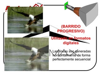 (BARRIDO
   PROGRESIVO)
Utilizado en formatos
       digitales

Las líneas son generadas
horizontalmente de forma
perfectamente secuencial
 