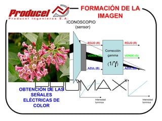 FORMACIÓN DE LA
                              IMAGEN
                   ICONOSCOPIO
                       (sensor)


                           ROJO (R)                   ROJO (R)

                                         Corrección
                           VERDE (G)      gamma       VERDE (G)



                           AZUL (B)
                                               γ
                                             (1/ )
                                                      AZUL (B)




                      V                               V

OBTENCIÓN DE LAS
    SEÑALES
 ELÉCTRICAS DE                  Intensidad
                                lumínica
                                                                  Intensidad
                                                                  lumínica
     COLOR
 