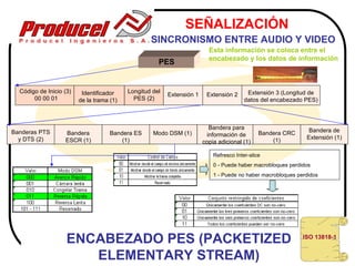 SEÑALIZACIÓN
                                                   SINCRONISMO ENTRE AUDIO Y VIDEO
                                                                          Esta información se coloca entre el
                                                                          encabezado y los datos de información
                                                      PES


  Código de Inicio (3)    Identificador    Longitud del                                   Extensión 3 (Longitud de
                                                          Extensión 1    Extensión 2
       00 00 01          de la trama (1)     PES (2)                                     datos del encabezado PES)



                                                                          Bandera para                          Bandera de
Banderas PTS       Bandera           Bandera ES     Modo DSM (1)         información de        Bandera CRC
  y DTS (2)        ESCR (1)              (1)                                                       (1)         Extensión (1)
                                                                        copia adicional (1)

                                                                            Refresco Inter-slice
                                                                            0 - Puede haber macrobloques perdidos
                                                                            1 - Puede no haber macrobloques perdidos




                    ENCABEZADO PES (PACKETIZED                                                                ISO 13818-1


                       ELEMENTARY STREAM)
 