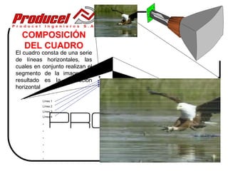 COMPOSICIÓN
  DEL CUADRO
El cuadro consta de una serie
de líneas horizontales, las
cuales en conjunto realizan el
segmento de la imagen, el
resultado es la resolución
horizontal

          Línea 1
          Línea 2
          Línea 3
          Línea 4

          .
          .
          .
          .
          .
          .
 