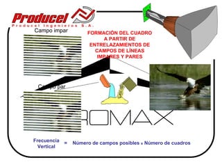 Campo impar         FORMACIÓN DEL CUADRO
                          A PARTIR DE
                     ENTRELAZAMIENTOS DE
                       CAMPOS DE LÍNEAS
                        IMPARES Y PARES




 Campo par




Frecuencia =   Número de campos posibles x Número de cuadros
  Vertical
 