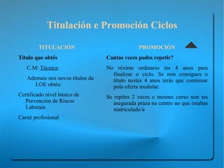 A nova Formación Profesional 