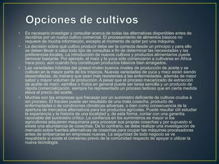 •   Es necesario investigar y consultar acerca de todas las alternativas disponibles antes de
    decidirse por un nuevo cultivo comercial. El procesamiento de alimentos básicos no
    requiere de mucha información, excepto al momento de optar por una máquina.
•   La decisión sobre qué cultivo producir debe ser la correcta desde un principio y para ello
    se deben llevar a cabo todo tipo de consultas a fin de determinar las necesidades y las
    preferencias locales. La introducción de nuevos cultivos y productos alimentarios puede
    demorar bastante. Por ejemplo, el maíz y la yuca sólo comenzaron a cultivarse en África
    hace poco, aún cuando hoy constituyan productos básicos bien arraigados.
•   Las variedades híbridas del girasol rinden buenos niveles de producción de aceite y se
    cultivan en la mayor parte de los trópicos. Nuevas variedades de yuca y maíz están siendo
    desarrolladas, de manera que sean más resistentes a las enfermedades, además de mejor
    sabor y mayor volumen de producción. A pesar que el proceso mecanizado de extracción
    de aceite de maní, semillas o frutos en general puede ser tarea sencilla y un producto de
    rápida comercialización, siempre ha representado un proceso tedioso que en cierta medida
    eleva el precio del aceite.
•   Muchas son las empresas que fracasan por un suministro deficiente de cultivos crudos á
    sin proceso. El fracaso puede ser resultado de una mala cosecha, producto de
    enfermedades o de condiciones climáticas adversas, o bien como consecuencia de la
    apertura de mercados alternativos para los productos agrícolas. Puede resultar útil estudiar
    la experiencia y la historia de una localidad y, de esta forma, contar con una garantía
    razonable del suministro crítico. La confianza en los suministros es mayor si los
    agricultores adquieren maquinaria para procesar sus propias cosechas y por supuesto si
    existe una abundancia de cosechas. De lo contrario, se debe realizar una investigación de
    mercado sobre fuentes alternativas de cosechas para ocupar las máquinas procesadoras
    antes de embarcarse en empresas nuevas. La seguridad de todo negocio se ve
    respaldada si existe el consenso previo de la comunidad respecto de apoyar o utilizar la
    nueva tecnología.
 