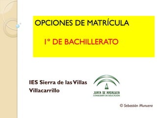 OPCIONES DE MATRÍCULA
1º DE BACHILLERATO
IES Sierra de lasVillas
Villacarrillo
© Sebastián Munuera
 