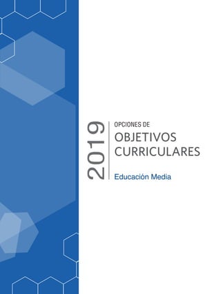 Educación Media
OBJETIVOS
CURRICULARES
OPCIONES DE
 