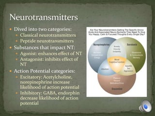  Dived into two categories:
 Classical neurotransmitters
 Peptide neurotransmitters
 Substances that impact NT:
 Agonist: enhances effect of NT
 Antagonist: inhibits effect of
NT
 Action Potential categories:
 Excitatory: Acetylcholine,
norepinephrine increase
likelihood of action potential
 Inhibitory: GABA, endorphin
decrease likelihood of action
potential
 