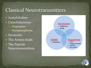  Acetylcholine
 Catecholamines
 Dopamine
 Norepinephrine
 Serotonin
 The Amino Acids
 The Peptide
Neurotransmitters
 
