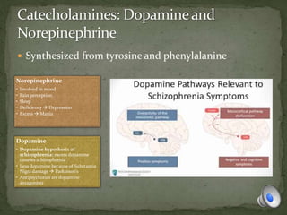  Synthesized from tyrosine and phenylalanine
Norepinephrine
• Involved in mood
• Pain perception
• Sleep
• Deficiency  Depression
• Excess  Mania
Dopamine
• Dopamine hypothesis of
schizophrenia: excess dopamine
caueses schizophrenia
• Less dopamine because of Substantia
Nigra damage  Parkinson’s
• Antipsychotics are dopamine
antagonists
 