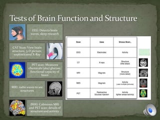 EEG: Detects brain
waves; sleep research
CAT Scan: View brain
structure, 3-D picture,
sophisticated X-Ray
PET scan: Measures
chemicals (aka) glucose;
functional capacity of
brain
MRI: radio waves to see
structures
fMRI: Cobmines MRI
and PET scan; details of
structure and activity
 