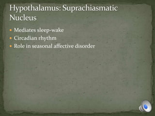  Mediates sleep-wake
 Circadian rhythm
 Role in seasonal affective disorder
 