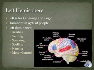  Left is for Language and Logic
 Dominant in 97% of people
 Left dominance:
 Reading
 Writing
 Speaking
 Spelling
 Naming
 Motor Control
 