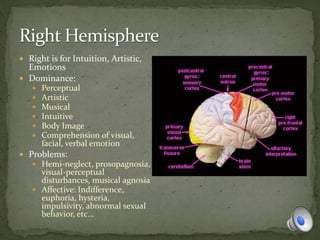  Right is for Intuition, Artistic,
Emotions
 Dominance:
 Perceptual
 Artistic
 Musical
 Intuitive
 Body Image
 Comprehension of visual,
facial, verbal emotion
 Problems:
 Hemi-neglect, prosopagnosia,
visual-perceptual
disturbances, musical agnosia
 Affective: Indifference,
euphoria, hysteria,
impulsivity, abnormal sexual
behavior, etc…
 