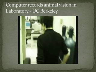 Ch 3  the brain & nervous system