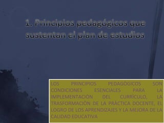 LOS    PRINCIPIOS    PEDAGÒGICOS       SON
CONDICIONES     ESENCIALES      PARA     LA
IMPLEMENTACIÒN     DEL    CURRÌCULO,     LA
TRASFORMACIÒN DE LA PRÀCTICA DOCENTE, EL
LOGRO DE LOS APRENDIZAJES Y LA MEJORA DE LA
CALIDAD EDUCATIVA
 