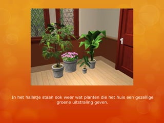 In het halletje staan ook weer wat planten die het huis een gezellige groene uitstraling geven.