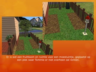 Er is wel een fruitboom en ruimte voor een moestuintje, geplaatst op een plek waar Tommie er niet overheen zal rennen.