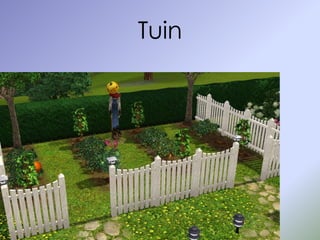 Tuin
 