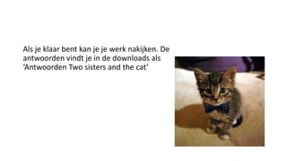 Als je klaar bent kan je je werk nakijken. De
antwoorden vindt je in de downloads als
‘Antwoorden Two sisters and the cat’
 