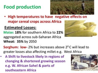 Food production
• High temperatures to have negative effects on
major cereal crops across Africa
Estimated Losses:
Maize: 18% for southern Africa to 22%
aggregated across sub-Saharan Africa
Wheat: 35% by 2050
Sorghum: low- 2% but increases above 20 C will lead to
greater losses also affecting millet e.g. West Africa
• A Shift to livestock likely in regions of
changing & shortened growing season
e.g. W. African Sahel & parts of
southeastern Africa
 
