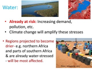 Water:
• Already at risk: Increasing demand,
pollution, etc.
• Climate change will amplify these stresses
• Regions projected to become
drier- e.g. northern Africa
and parts of southern Africa
& are already water-stressed
- will be most affected.
 