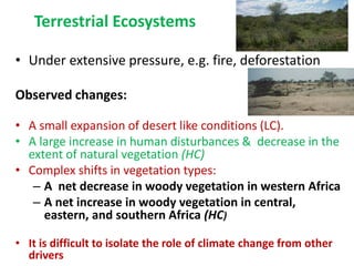 Terrestrial Ecosystems
• Under extensive pressure, e.g. fire, deforestation
Observed changes:
• A small expansion of desert like conditions (LC).
• A large increase in human disturbances & decrease in the
extent of natural vegetation (HC)
• Complex shifts in vegetation types:
– A net decrease in woody vegetation in western Africa
– A net increase in woody vegetation in central,
eastern, and southern Africa (HC)
• It is difficult to isolate the role of climate change from other
drivers
 