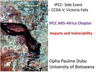 IPCC- Side Event
– CCDA-V, Victoria Falls
IPCC AR5-Africa Chapter
Impacts and Vulnerability
Opha Pauline Dube
University of Botswana
Livingstone
Victoria Falls
 