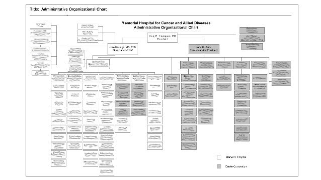 Memorial Sloan Kettering Organizational Chart