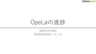 OpeLaの進捗
2020年12月30日
第23回自作OSもくもく会
 