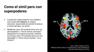 www.biko2.com
Como el símil pero con
superpoderes
Cuando los sujetos leyeron una metáfora
que involucraba textura, la corteza
sensorial, responsable de percibir la textura
a través del tacto, se activó.
Metáforas como "El cantante tenía una voz
aterciopelada" y "Tenía manos correosas"
despertaron la corteza sensorial, mientras
que frases como "El cantante tenía una voz
agradable" y "Tenía manos fuertes", no lo
hicieron".
Lacey, Stilla & Sathian (2012).
Metaphorically Feeling: Comprehending Textural Metaphors
Activates Somatosensory Cortex
 