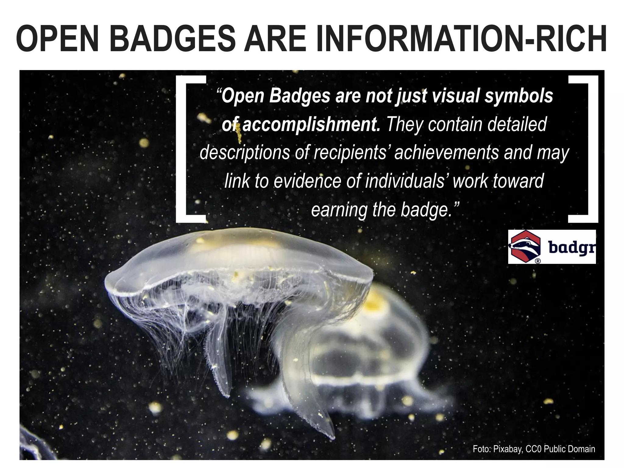 Foto: Pixabay, CC0 Public Domain
OPEN BADGES ARE INFORMATION-RICH
“Open Badges are not just visual symbols
of accomplishment. They contain detailed
descriptions of recipients’ achievements and may
link to evidence of individuals’ work toward
earning the badge.”
[ ]
 